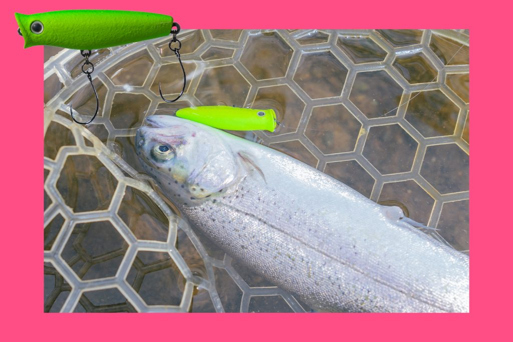 SHORES (ショアーズ)ペンシルポッパー エリアモデル　SPP44エリア